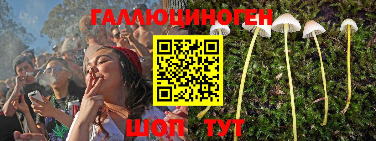где купить наркоту  Галлюциногенные грибы GOLDEN TEACHER  Вход с VPN  Дятьково  Псилоцибиновые грибы Psilocybine cubensis 