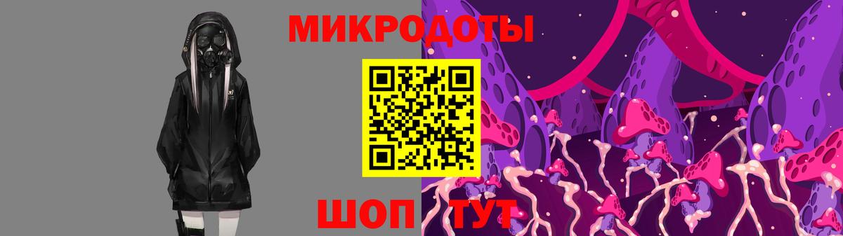 Галлюциногенные грибы Psilocybe Дятьково